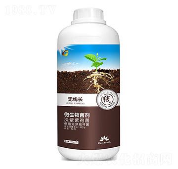 �o���L ���ý�