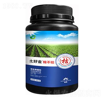 �޲��� ���ý�