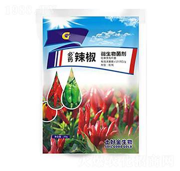 20g���� ���ý�