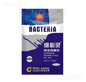 30g΢������� �����` ���ý�