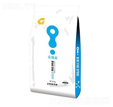 500g΢������� �{���� ���ý�