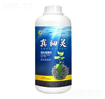 1000ml�漚�` ���ý�