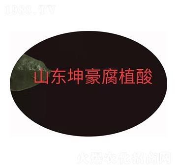 �S�����\ ����