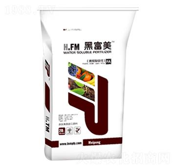 �S�����V�}-�ڸ���-����ʘI(y��)