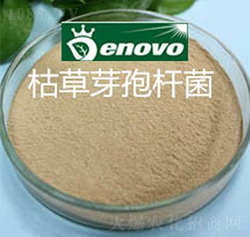 �ݲ�ѿ�ߗU��-��΢����