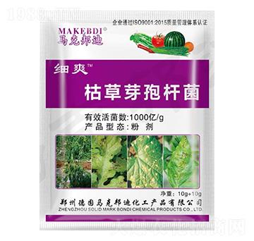 �ݲ�ѿ�ߗU��-��ˬ-�R�˰��