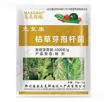 �ݲ�ѿ�ߗU��-���Ϳ�-�R�˰��