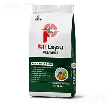 ΢�������-���՘�