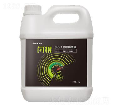 SK-TAҺ-W-r(sh)