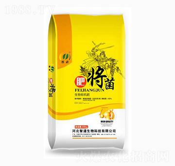 生物有機肥-肥將菌-智道
