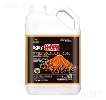 含腐植酸水溶肥料-吲哚根霸-圣金肥業(yè)