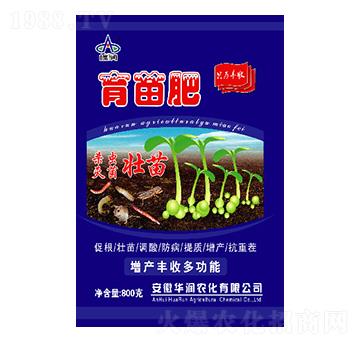 �����-�A���r(n��ng)��