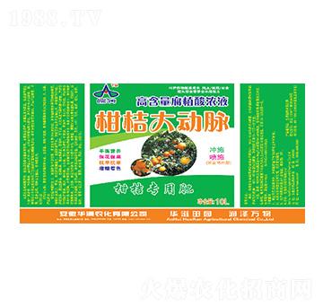 �ߺ�����ֲ���Һ-�̽۴��(d��ng)�}-�A���r(n��ng)��