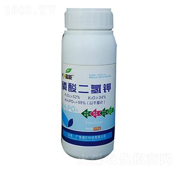 ��������-�����Ƽ�