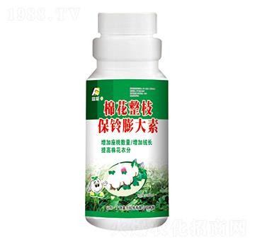 �޻���֦��������-�����Ƽ�