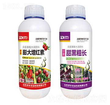 ������t��+��ڴ��L-�����Ƽ�