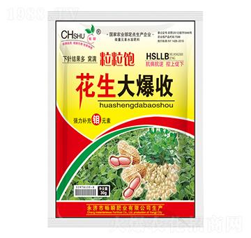 ��������-��˲