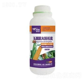 ����������L(zh��ng)��-���_(d��)