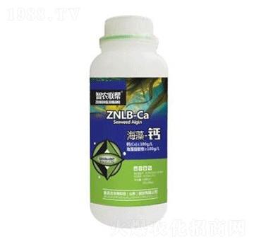 �����}-���_