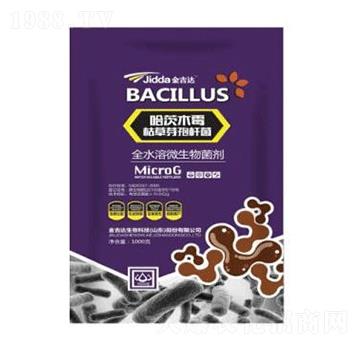 ����ľù�ݲ�ѿ�ߗU��-���_(d��)