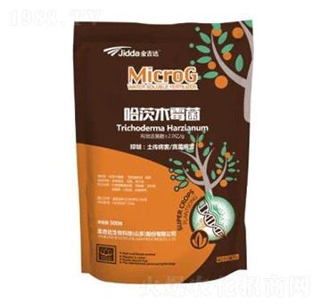 ����ľù��-���_