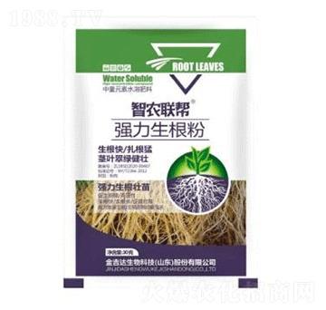 ������-���_