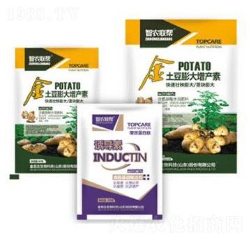 ����������a(ch��n)��-���_