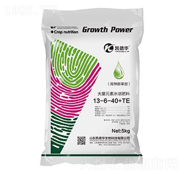 �������ʹ���Ԫ��ˮ�ܷ���13-6-40+TE-�P���A