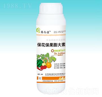 �������������-��ԣ��