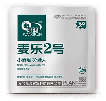 С�����{����-����2̖