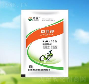 ����-��������