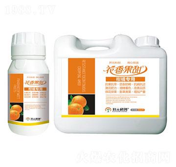 ���ٌ���-�������-����ֲ��