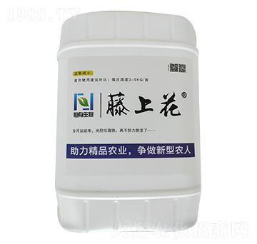 �ͺ�΢�������-���ϻ�-��������