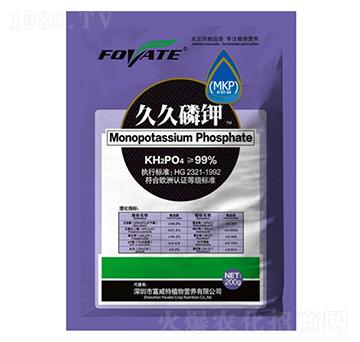 �þ����-������