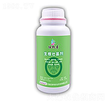 �������焩-�u�X������