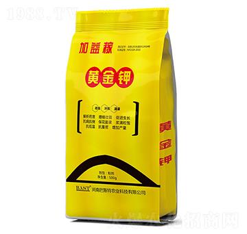 �S���-�u�X������