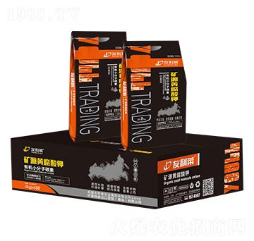 �VԴ�S�����-�����R