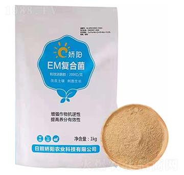 EM�ͺϾ�-���S����