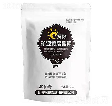 �VԴ�S�����-���S����