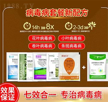 病毒病套餐-螢火蟲(chóng)