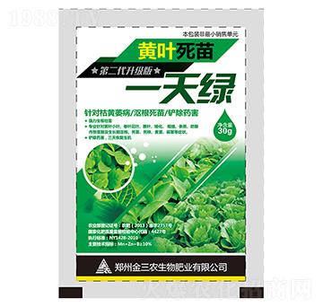黃葉死苗一天綠-金三農(nóng)