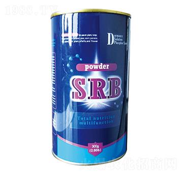 SRBȫI(yng)B(yng)ԿԷۄ-yמ