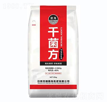 ǧ����-����