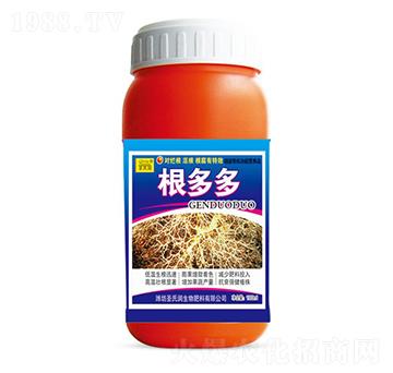 根多多-圣氏潤