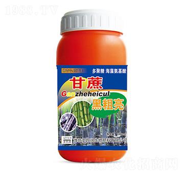 甘蔗黑粗亮-圣氏潤