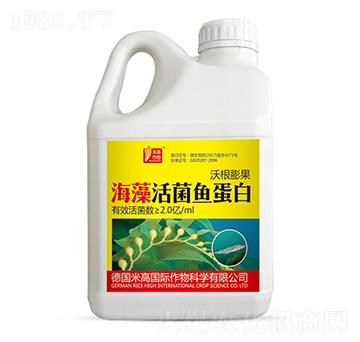 沃根膨果活菌魚蛋白-圣氏潤