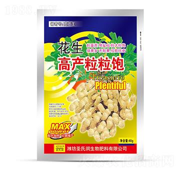 花生高產(chǎn)粒粒飽-圣氏潤