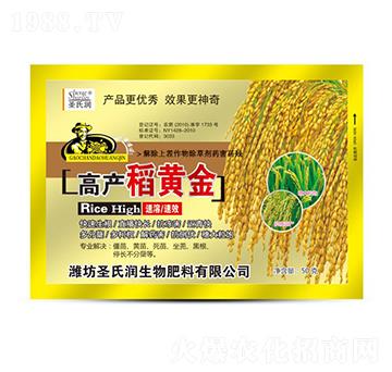稻黃金-圣氏潤