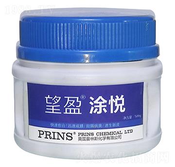 望盈涂悅-英國普林斯