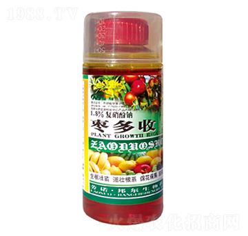 ������-������